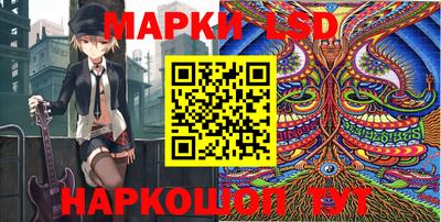 apvp Краснодар