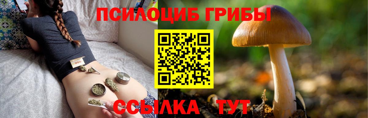 Псилоцибиновые грибы GOLDEN TEACHER  Галлюциногенные грибы GOLDEN TEACHER  Чапаевск  Вход с VPN 